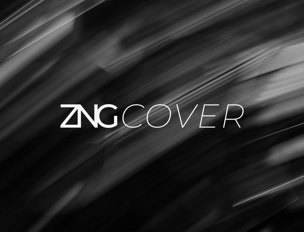 ZNG Cover image