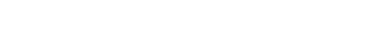 ZNG Advisory logo