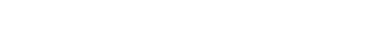 ZNG Business logo in white