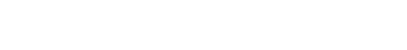 ZNG Group logo_white